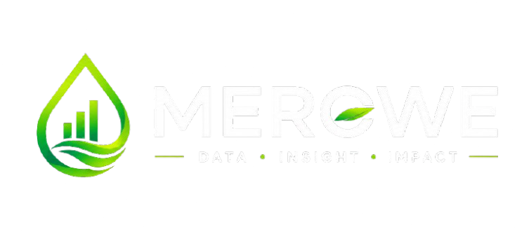 Merowe — Data, Insight, Impact